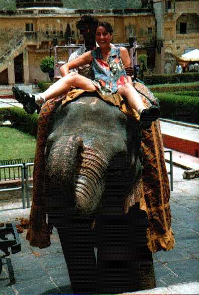 cindy op olifant 3.jpg (41203 bytes)