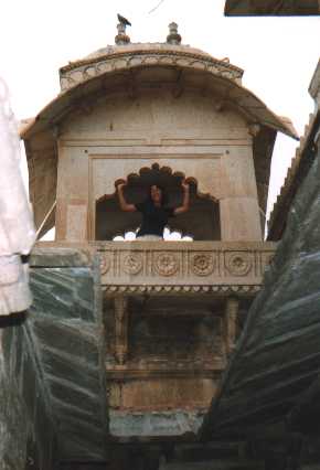 door_het_dak.jpg (13135 bytes)