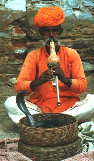 slangenbezweerder.jpg (26688 bytes)