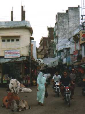 straatbeeld1.jpg (13552 bytes)