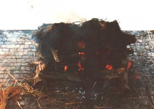 crematie_alleen.jpg (17474 bytes)