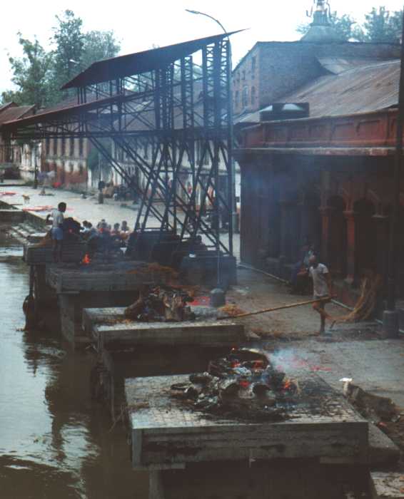 crematies.jpg (37010 bytes)