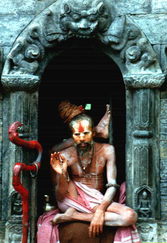 rare_snuiter_met_been_in_nek.jpg (73090 bytes)